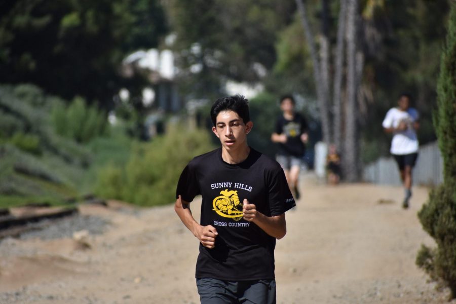 Senior Chris Sanchez finishes his run during practice near the train tracks near the Agriculture complex Aug. 29. Photo taken by Accolade photographer Paul Yasutake. 