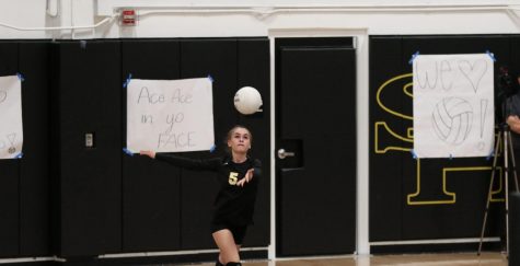 Defensive specialist senior Cambria Acheson serves against Fullerton Oct. 14 in her last home Freeway League game. Photo taken by Accolade photographer Paul Yasutake.
