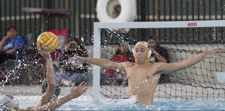 Sunny Hills goalie junior Josh Beutter rises out of the water to block a shot by a Buena Park attacker during an Oct. 2 home game in which the Lancers won,  10-4. Photo by Accolade photographer Paul Yasutake