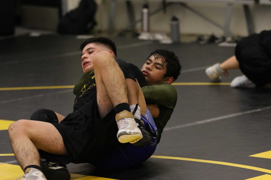 Junior Luke Yang (right) performs a 3-point near fall on sophomore Zion Mejia during practices on Nov. 14 in rm 153. Photo taken by Accolade photographer Paul Yasutake