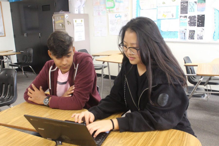 DECA vice president sophomore Rachel Lee shows freshman Saahil Kakaria (left) the Sunny Hills DECA website during a Nov. 14 club meeting. Photo taken by Accolade photographer Brianna Zafra.