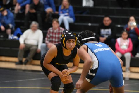 Freshman Kylie Yang (left) stares down Highlander wrestler Vanessa Hernandez during the Sunny Hills dual meet between La Habra and Sunny Hills Jan. 15 at the Sunny Hills gym. Yang won the 137-pound JV girls bout with a pin in the second period. Photo taken by Accolade photographer Paul Yasutake
