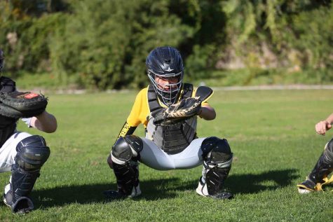 Baseball gear puts sport as most expensive to play