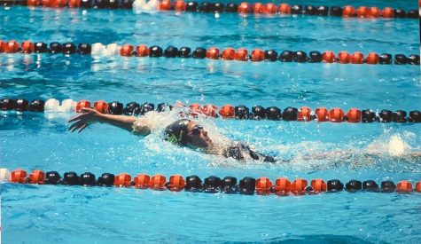 Senior Kaitlyn Yee swims the 100-yard backstroke during the 2019 Freeway League preliminaries at Troy High School, where she placed first. She then advanced to the 2019 CIF-SS Division 3 finals, where Yee also broke the Sunny Hills record for the 200-yard medley relay alongside her teammates and contributed to her team’s second-place victory.