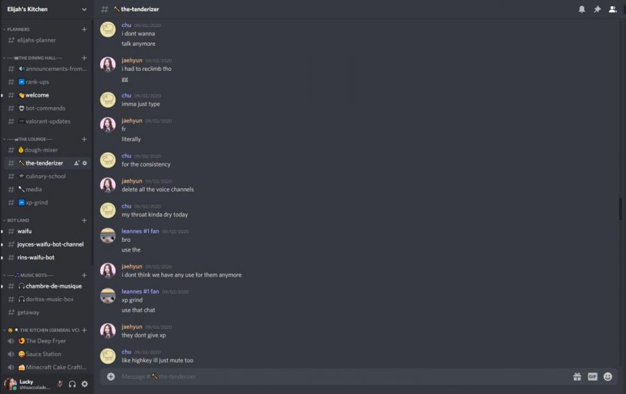  Sunny Hills students, such as seniors David Chu and Joyce Park, nicknamed “chu” and “leannes #1 fan” respectively, utilize the multi-channel features of Discord by chatting in text servers. On the left, various text and voice channels are located for members of the specific Discord server to chat in.