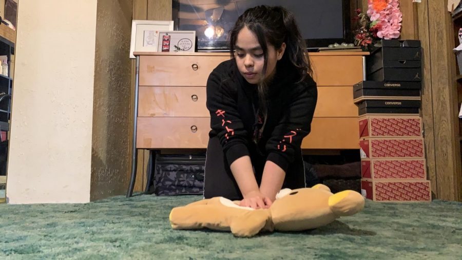 Senior Jessica Garcia demonstrates CPR chest compressions on one of her stuffed animals as a replacement for a dummy. Like all seniors, Garcia had to video record her practicing hands only CPR and submit the video for review by assistant principal Hilda Arredondo to fulfill a state-mandated graduation requirement.