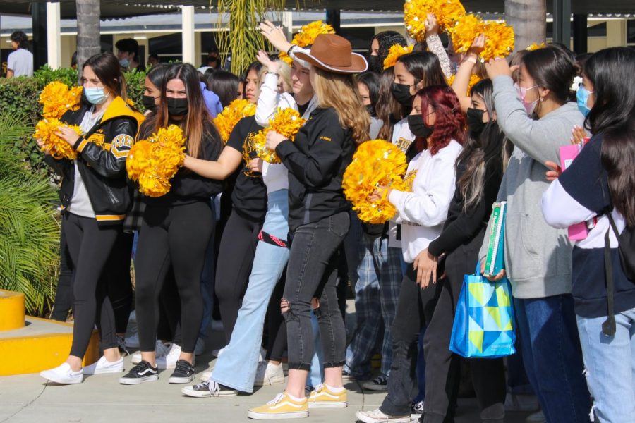 SH cheerleaders rile up the crowd for the introduction of the sports teams competing for the CIF championship. 