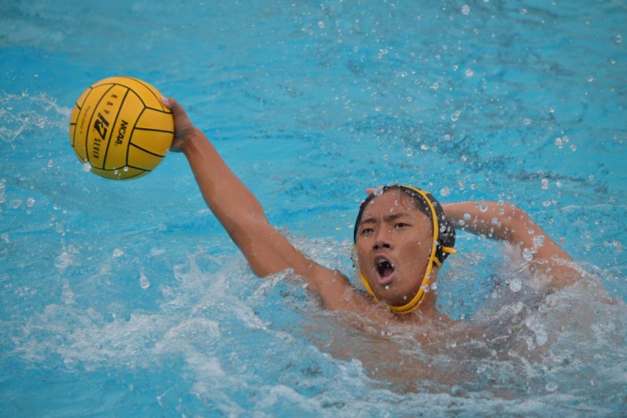 Senior utility player Nathan Kim tries to swim past a Buena Park defender with the ball in his hand during an Oct. 28 away game at the Buena Park pool. Kim made it on the SH leaderboard for most scored goals in a season by a boys water polo player.  