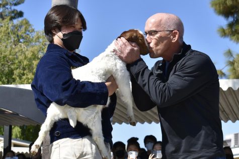 Associated Student Body co-adviser Mike Paris, who was appointed by the students kisses a goat from the Sunny Hills Agriculture Farm in the quad for the last day of National Future Farmers of America [FFA] Week. Traditionally, FFA would host “Kiss the Cow,” an event in which a staff member would kiss a cow instead of a goat. 