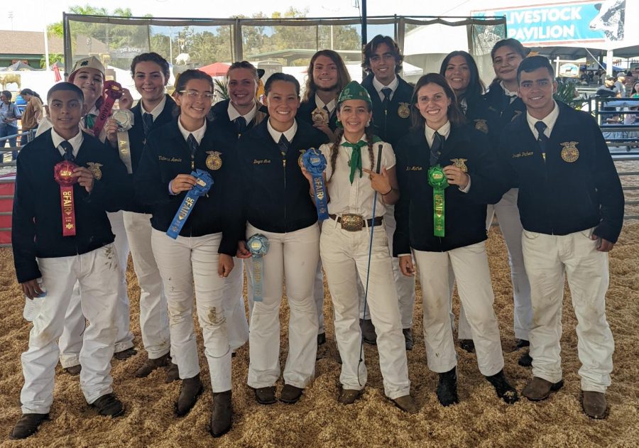 Agriculture students and recent SH graduates hold up their red, blue and green ribbons to commemorate their success at this summer’s Orange County Fair livestock competition.