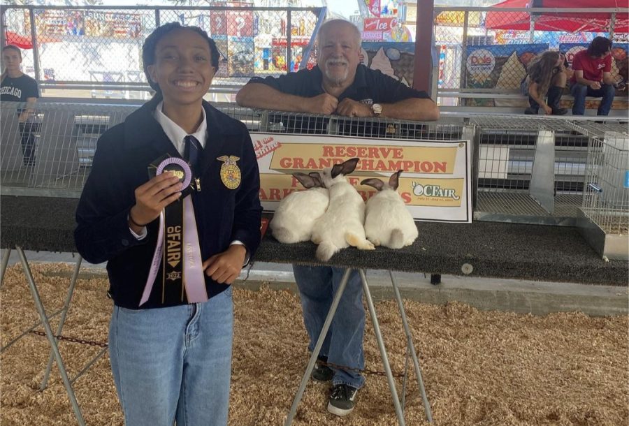 Image used with permission from Shannon Deskin
Sophomore Shenell Bible holds her Reserve Grand Champion ribbon and second place ribbon in front of her rabbits, Dorothy, Fantasia and Phyllis, while an OC Fair judge stands behind the title sign.