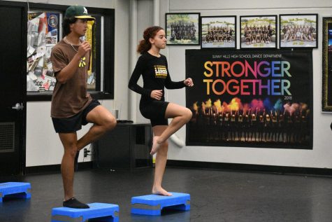 Baseball center fielder junior Tyler Simkins (left) and Dance Production member junior Addison Cannon balance on steppers during their Friday, Oct. 7, joint workout session during sixth period.