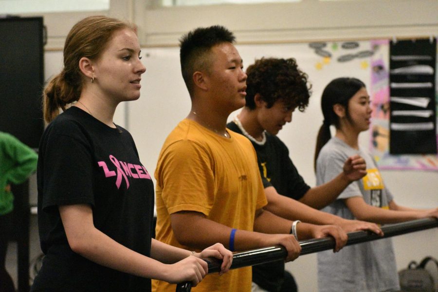 Dance Production co-captain senior Jaden Michel (left) and other varsity baseball players hold onto the handle bar in the dance room during the Friday, Oct. 7, workout during period six.