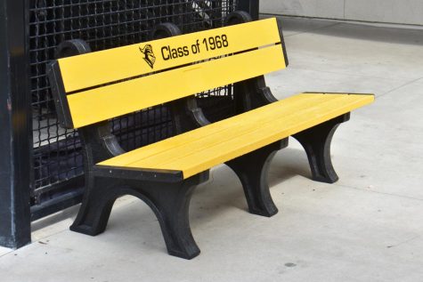 One of the six new benches on campus funded by the Class of 1968 reunion committee. All have school colors of yellow and black with the Lancer knight logo next to Class of 1968 in the center back section of the bench.