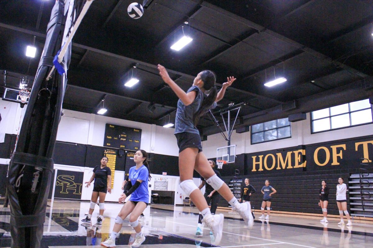 Outside hitter sophomore Kayla Thienprasiddhi gets ready for a spike during the girls volleyball practice after school in the gym on Friday, Sept. 1.