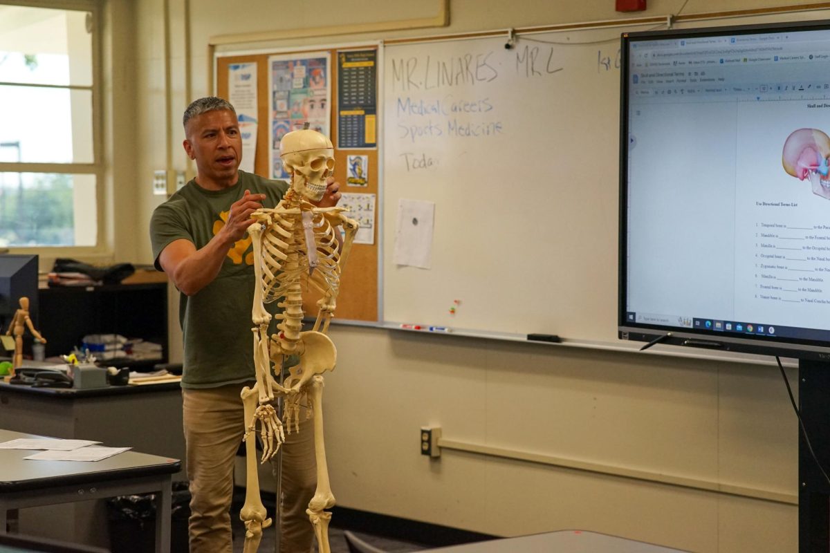 Regional Occupational Program [ROP] Medical Careers and ROP Sports Medicine and Therapy teacher Paul Linares points out parts of the human skull to his sixth period class in Room 24.