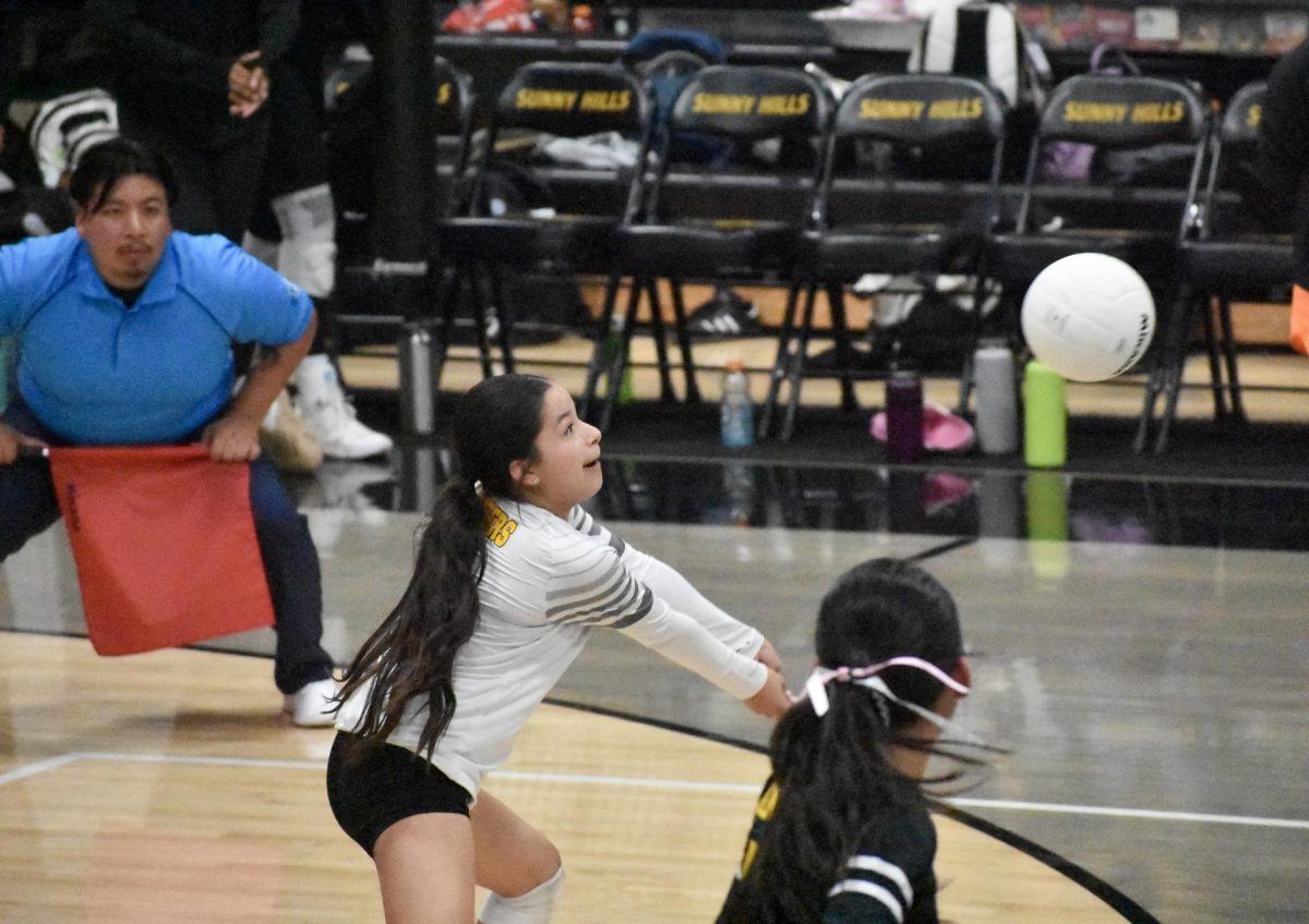 Libero senior Andrea Yepez gets ready to pass an incoming serve from the Windward Wildcats during the quarterfinal match on Wednesday, Oct. 25.