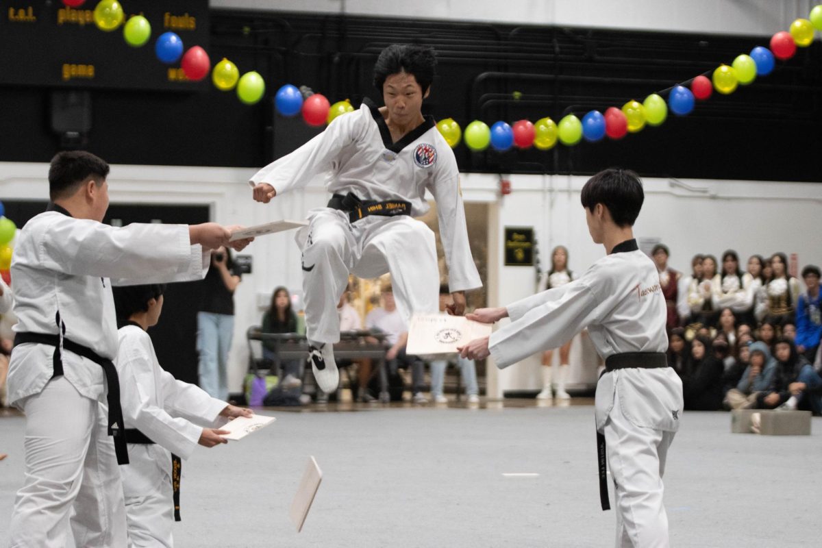 Korean Culture Club [KCC] member freshman Joseph Shin jumps to break a wooden board as part of the group’s taekwondo act during the annual International Week assembly held second period in the gym on Friday, Feb. 16.