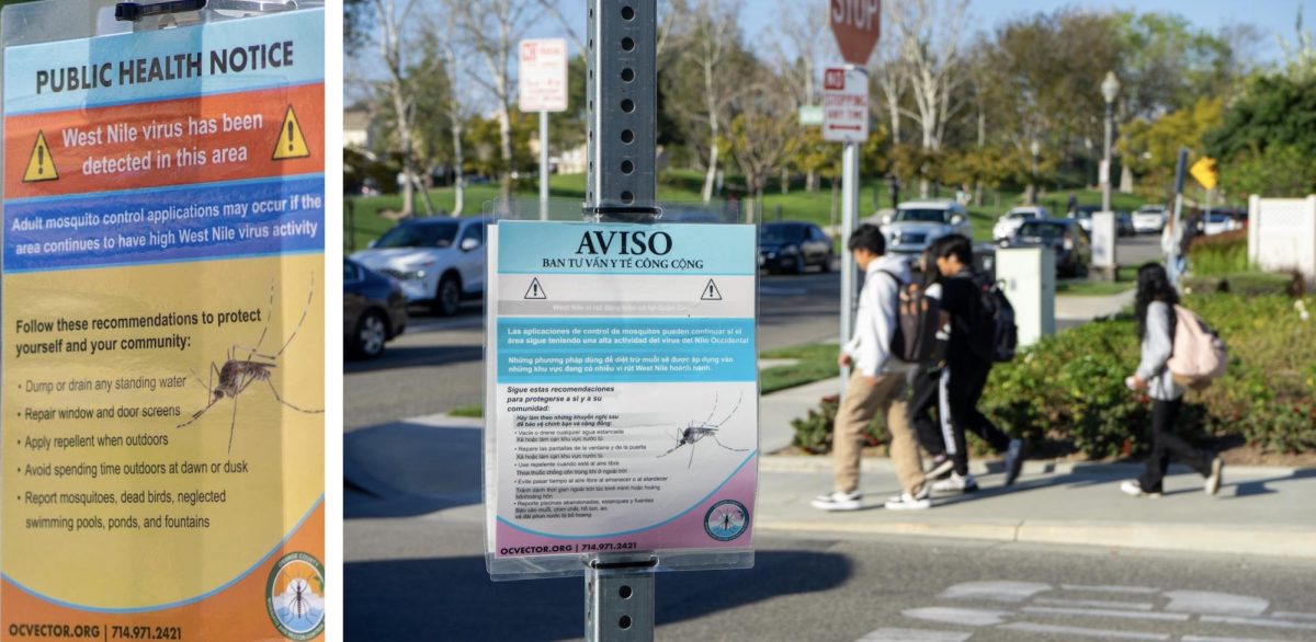 “PUBLIC HEALTH NOTICE” signs in English (left) on one side and other languages on the other outside the school’s west parking lot have been removed. The seasonal assistants for the Orange County Mosquito and Vector Control District had tied them around posts outside of campus and behind Raytheon Co. last October.