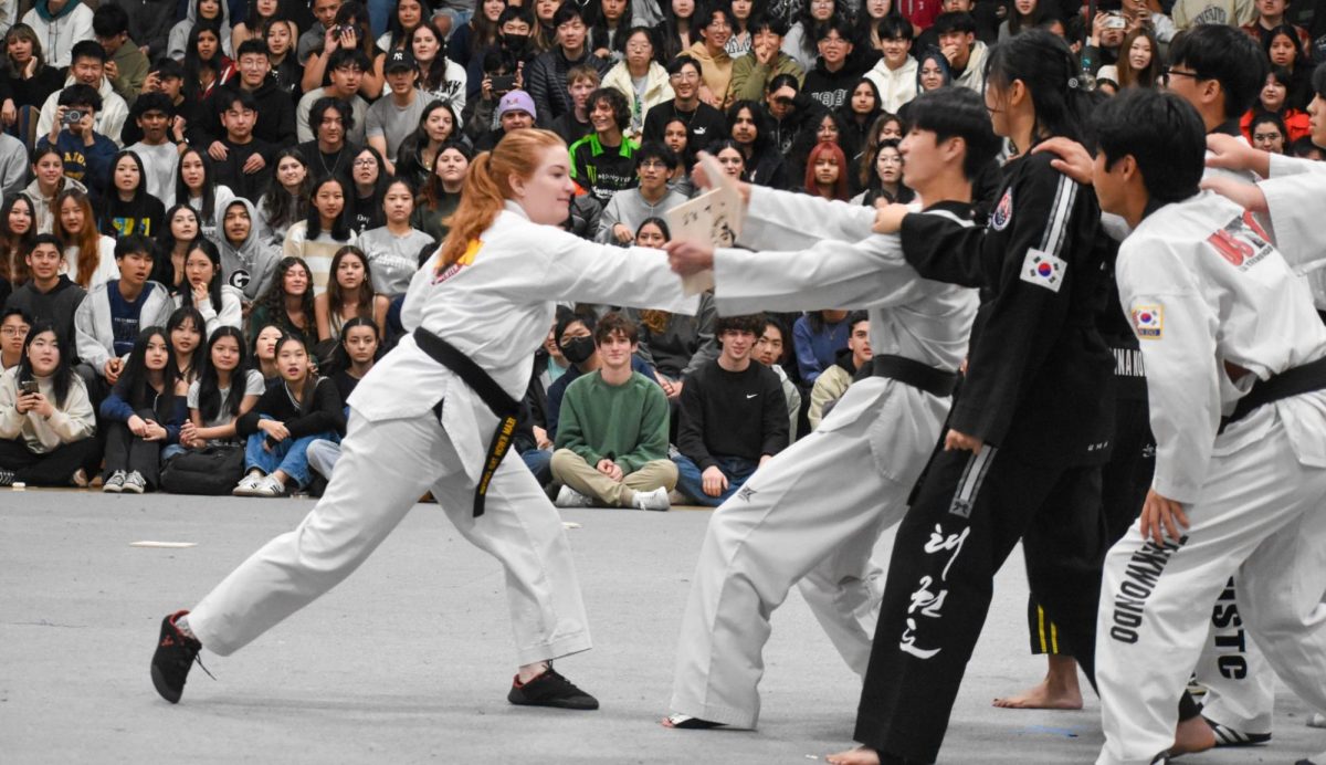 Wearing her second-degree black belt and a dobok, English teacher Liese Wellmeyer Garcia demonstrates her taekwondo skills by separating a board in two with her right hand during the Friday, Feb. 16, International Food Fair double second period assembly in the gym.
