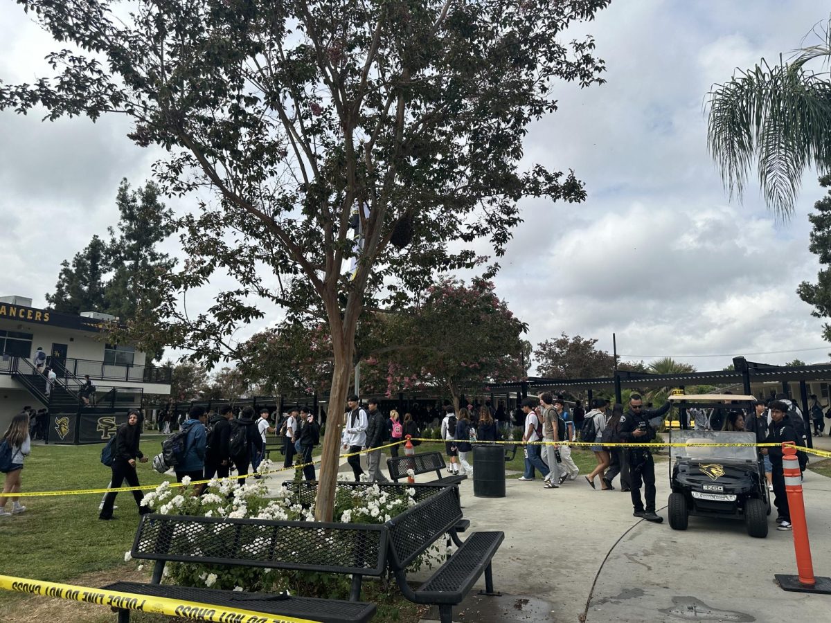 Before the start of third period on Thursday, Sept. 19, school officials place yellow caution tape around one of the quad bench areas after they received a report of a wasp nest near the top of the tree.