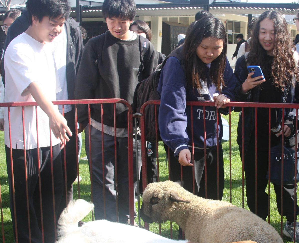 Students circle around the fencing to check out the goats during break on Tuesday, Feb. 18, in the quad. The goats came from the agriculture program and were shown to the rest of the campus as part of Future Farmers of America’s [FFA] spirit week to promote what the organization does.