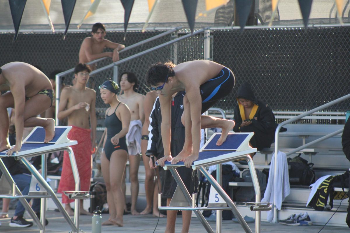 Junior Samuel Hong prepares to dive into the Sunny Hills pool on Wednesday, Feb. 19, during swim practice after school.