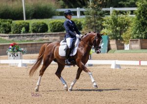Junior Mia Folk rides on Parco during an equestrian competition Aug. 24 in Chicago, where Folk ended up winning first place in the junior division.