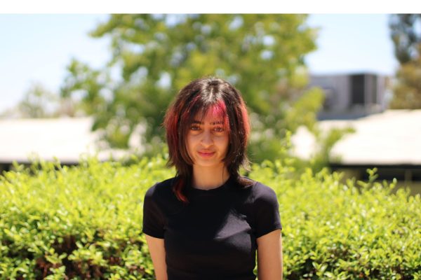 Natasha Niazi