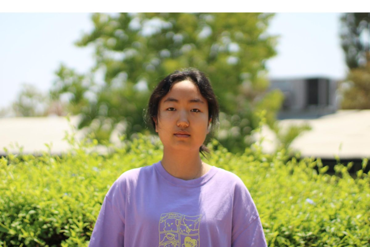 Amy Lim