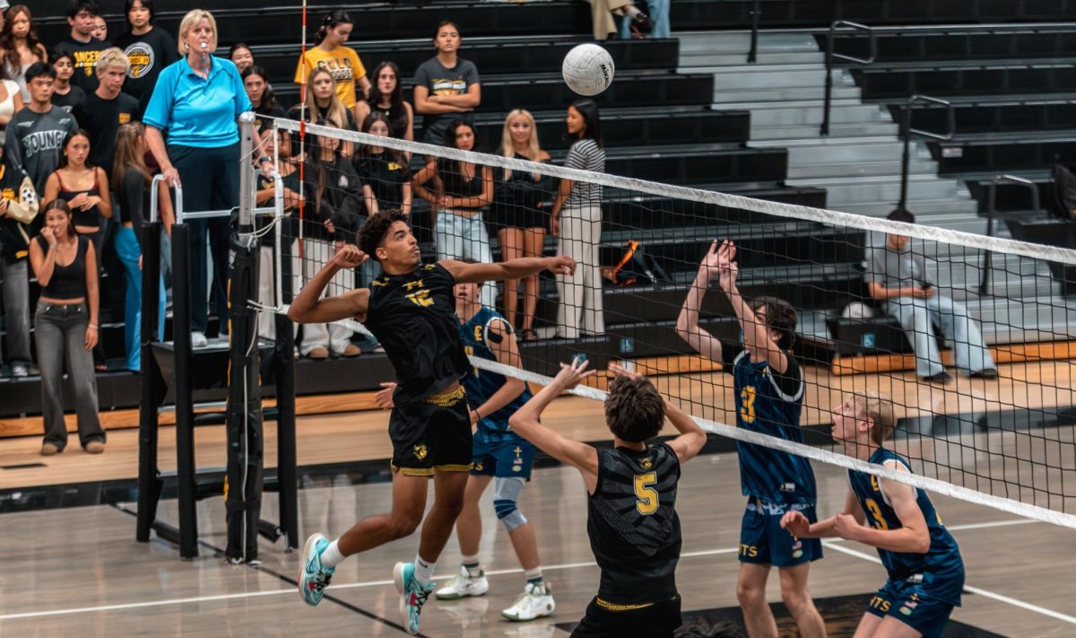 Middle blocker senior Pierrce Sandle jumps up to spike the ball during the boys volleyball game at home on Tuesday, April 21.